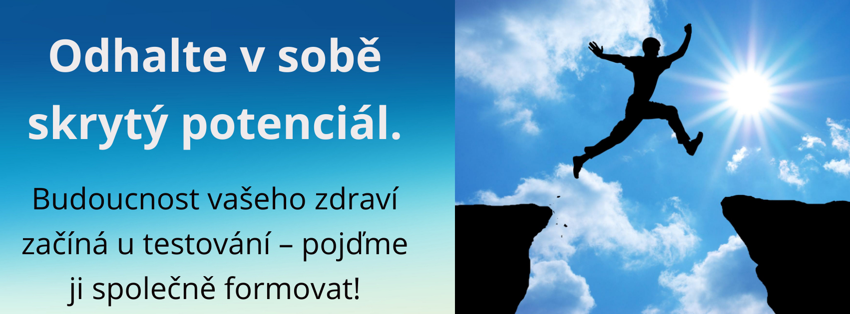 prílezitost zinzino